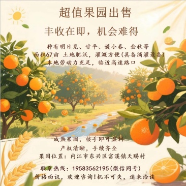 需要了解的请拨打海报上的热线呦