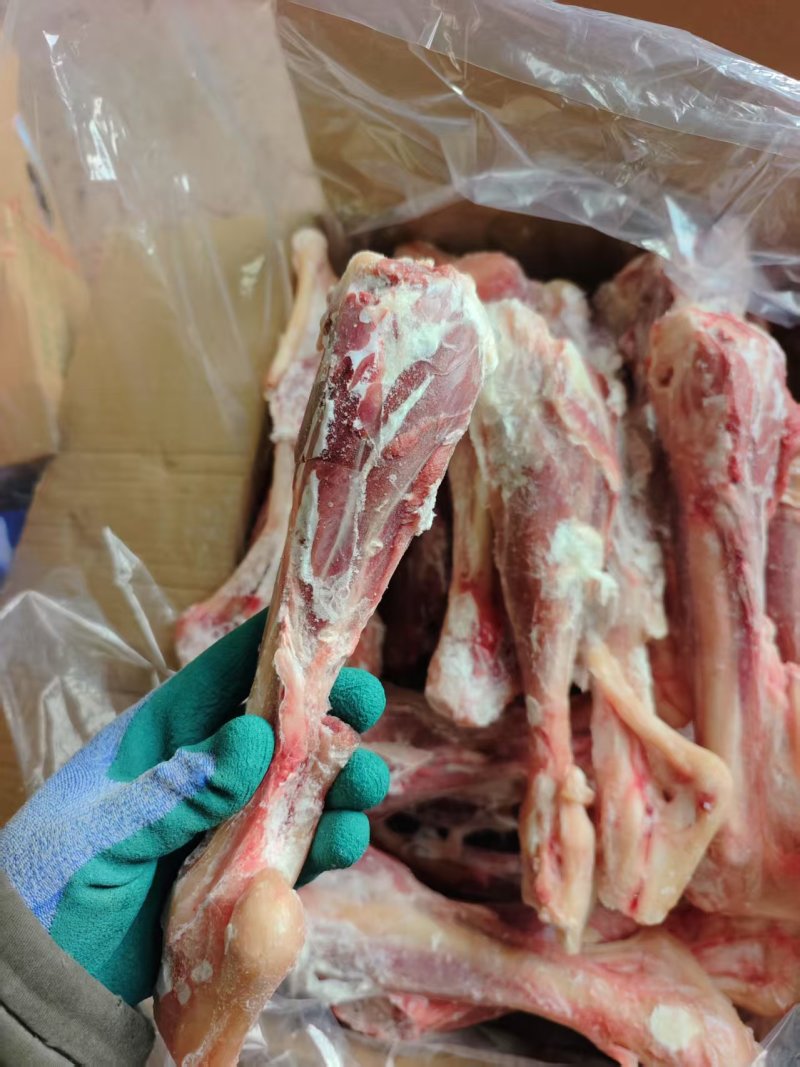 后金刚羊后腿