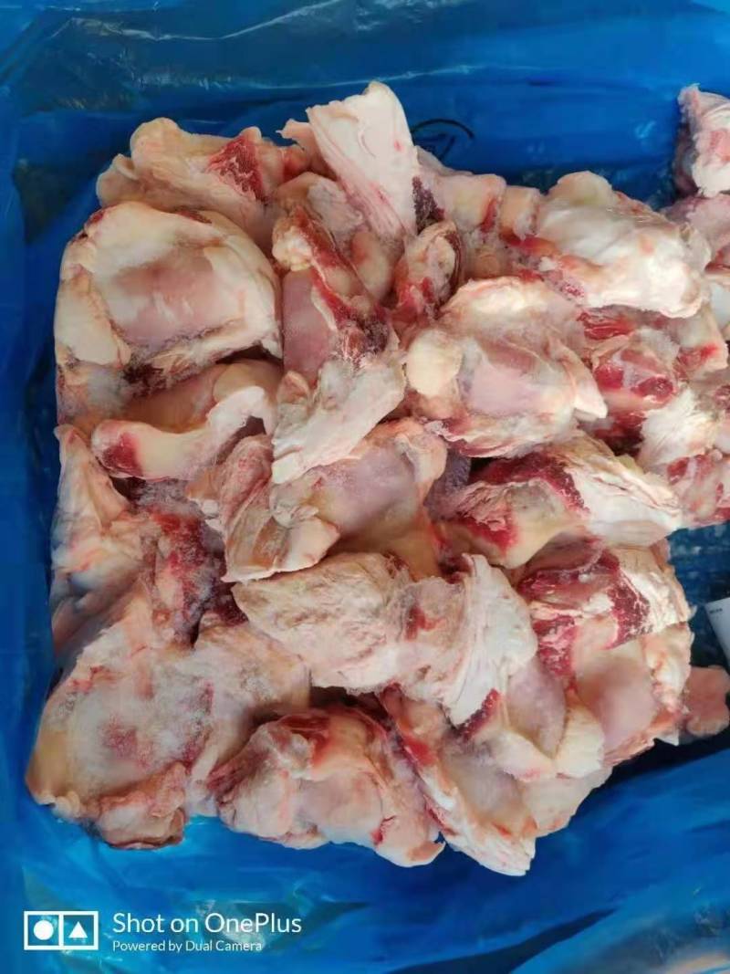 牛窝骨肉多，带筋膜饭店，食堂，好食材，一道好菜能撑
