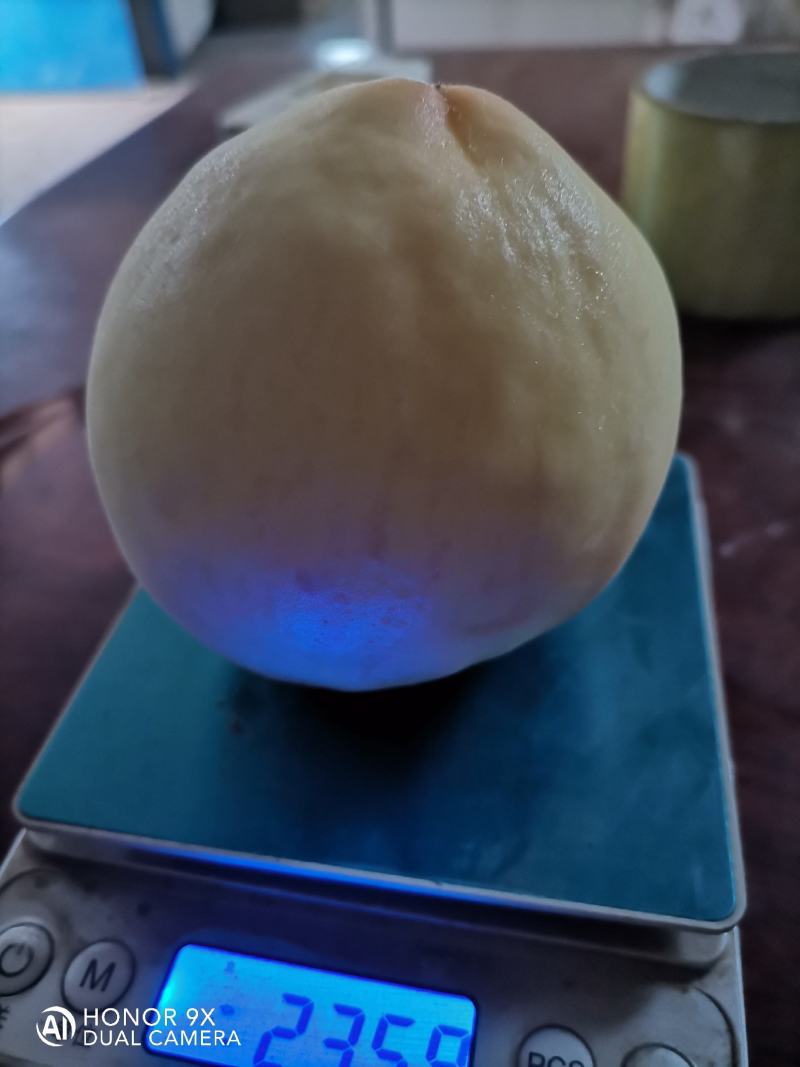 辽南十八号毛桃，离核面甜