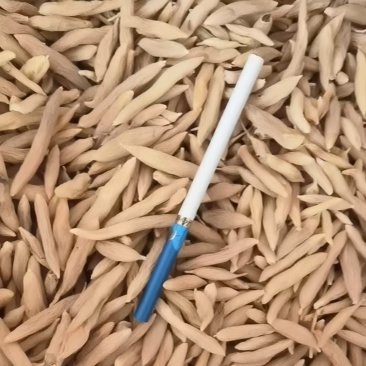 新鲜上市产地直发麦冬量大从优**无杂质