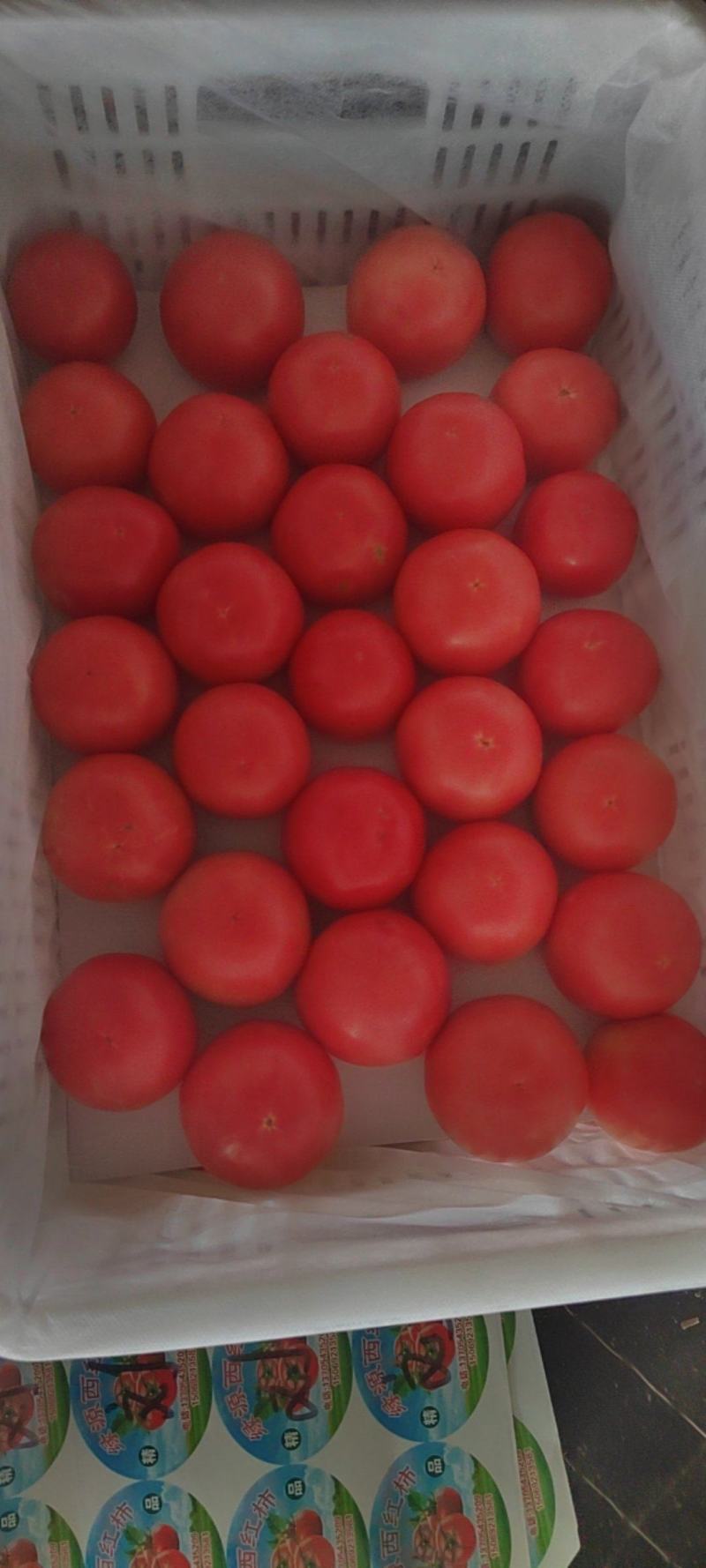 大量硬粉精品