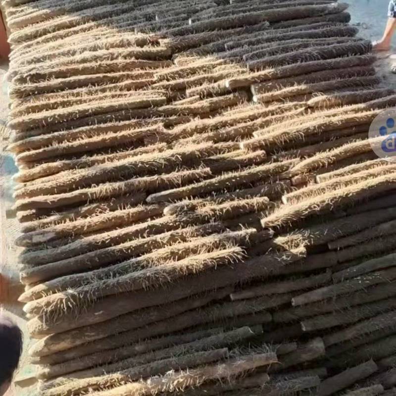 【热卖】精品山药九斤黄山药新鲜现挖品质保障可视频看货