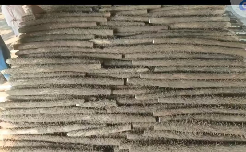 【热卖】精品山药九斤黄山药新鲜现挖品质保障可视频看货