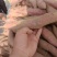 商薯19，河北临漳大量现货，条形好，口感好！