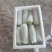 兰州定西精品西葫芦