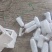 兰州定西精品西葫芦
