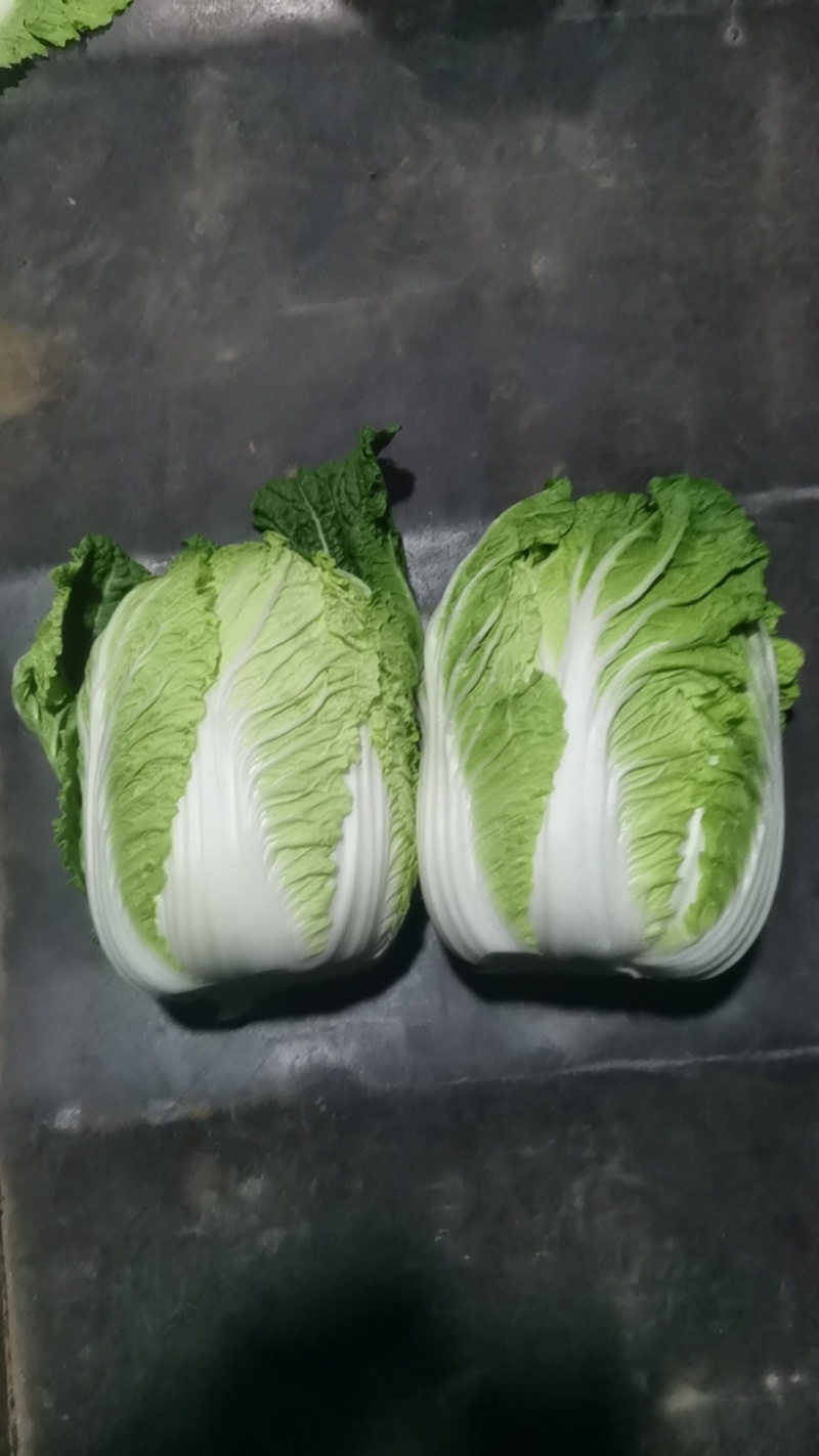 张北玲珑黄三无产品质量保证