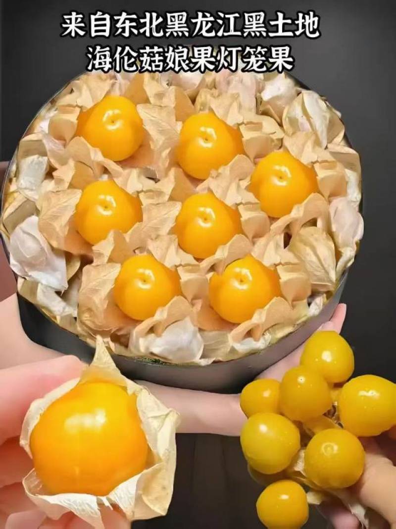 有要菇娘果的联系我***********
