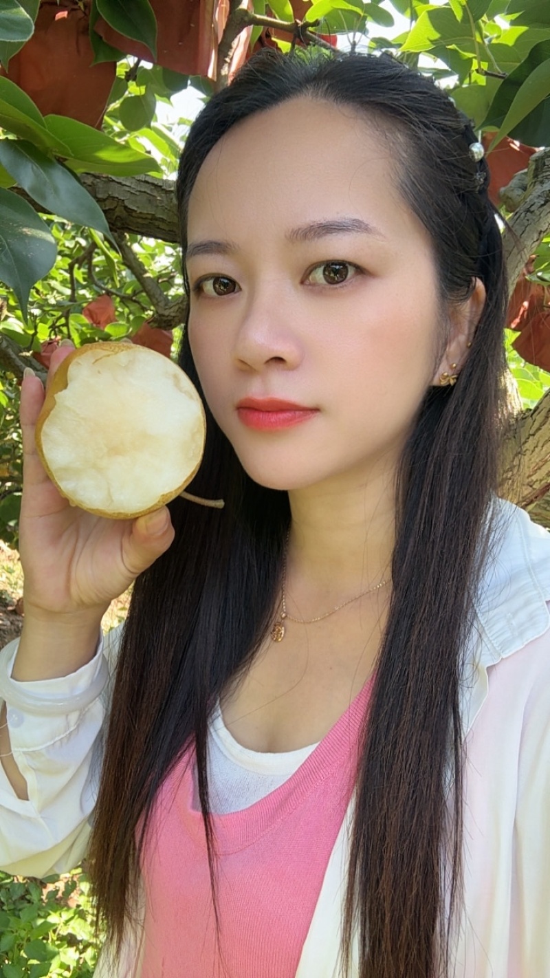 广西当季新鲜桂花梨套袋梨脆甜大果个大皮薄多汁好吃水分足