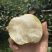 桂花梨套袋平乐新鲜应季水果，脆甜多汁皮薄肉厚产地直发谢谢