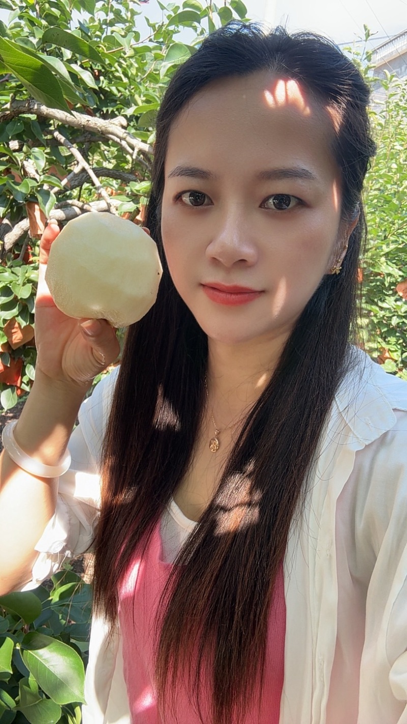 桂花梨套袋平乐新鲜应季水果，脆甜多汁皮薄肉厚产地直发谢谢