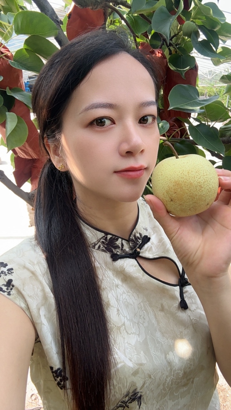 桂花梨套袋平乐新鲜应季水果，脆甜多汁皮薄肉厚产地直发谢谢