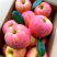 富士苹果