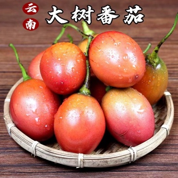 大树番茄
