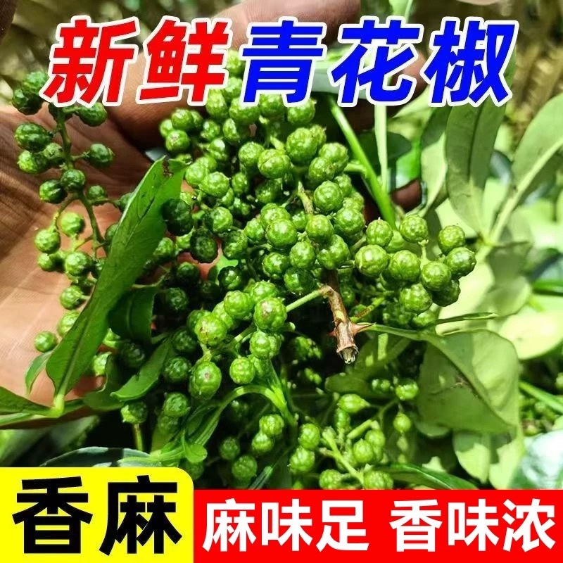 新鲜现摘花椒