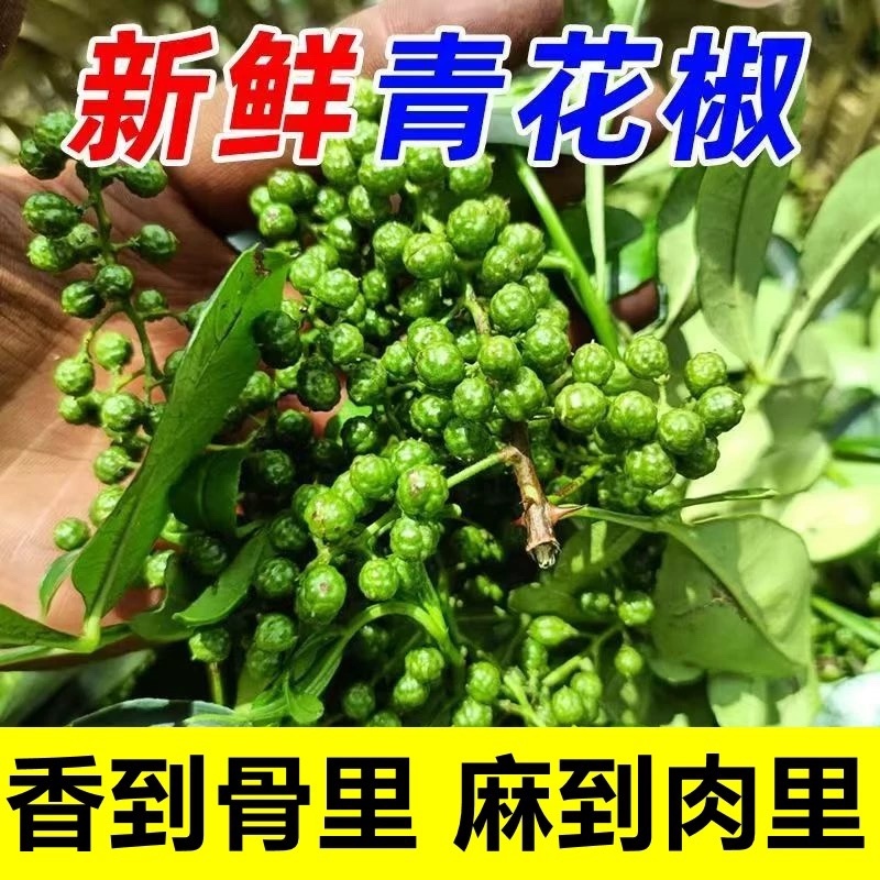 新鲜现摘花椒
