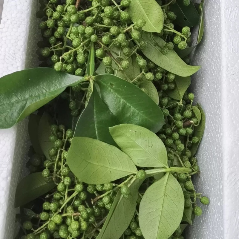 新鲜现摘花椒