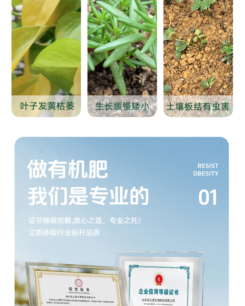大豆发酵有机肥微生物菌剂生物有机肥益生菌发酵豆肥