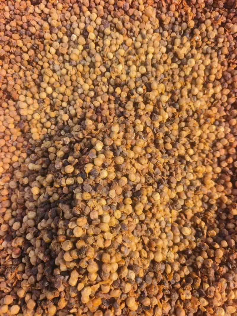 大豆发酵有机肥微生物菌剂生物有机肥益生菌发酵豆肥