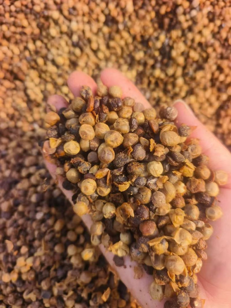 大豆发酵有机肥微生物菌剂生物有机肥益生菌发酵豆肥