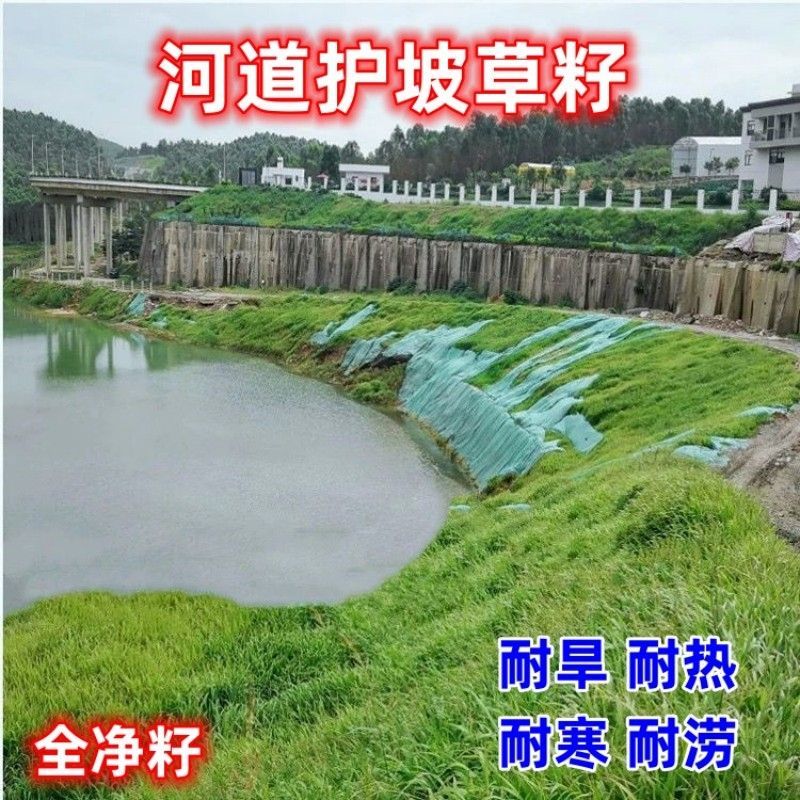 护坡王厂家发货一手货源批发品质保证量大价格优惠欢迎下单