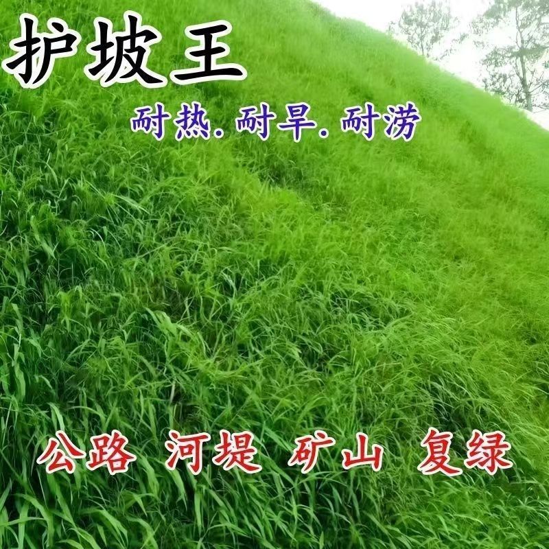 护坡王厂家发货一手货源批发品质保证量大价格优惠欢迎下单