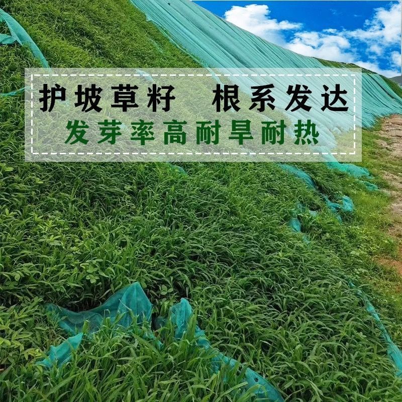 护坡王厂家发货一手货源批发品质保证量大价格优惠欢迎下单