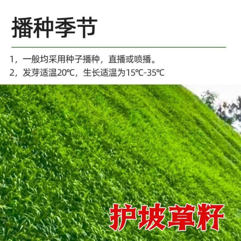 护坡王厂家发货一手货源批发品质保证量大价格优惠欢迎下单