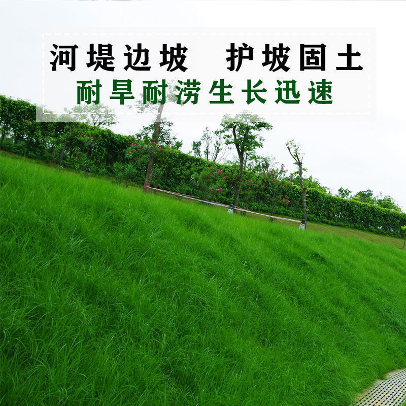 护坡王厂家发货一手货源批发品质保证量大价格优惠欢迎下单