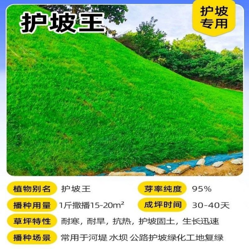护坡王厂家发货一手货源批发品质保证量大价格优惠欢迎下单