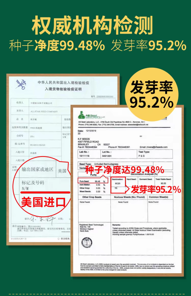 四季青草籽厂家直发价价格美丽，矮生草籽