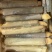 带壳竹蛏王大竹节蛏海蛏子蛏王大蛏子圣子特大海蛏子