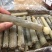 带壳竹蛏王大竹节蛏海蛏子蛏王大蛏子圣子特大海蛏子