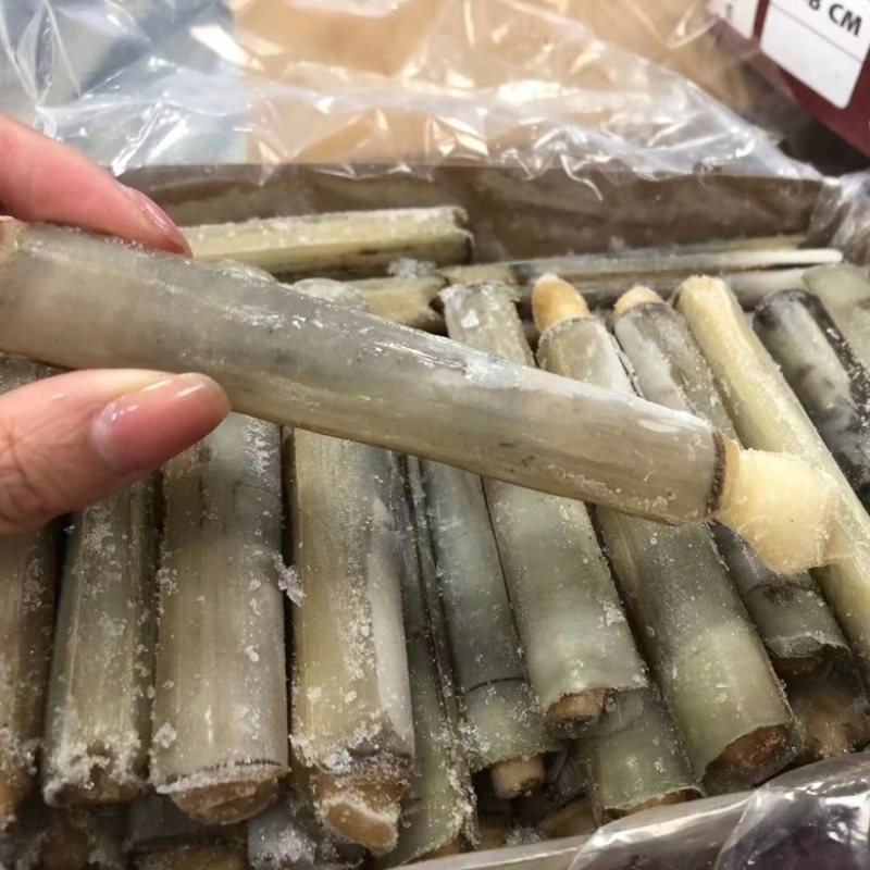 带壳竹蛏王大竹节蛏海蛏子蛏王大蛏子圣子特大海蛏子