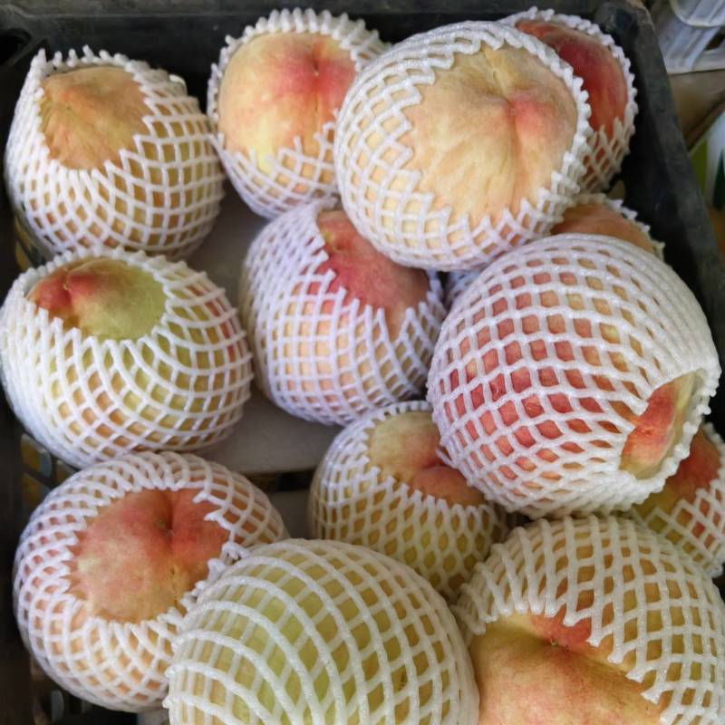 阳山水蜜桃