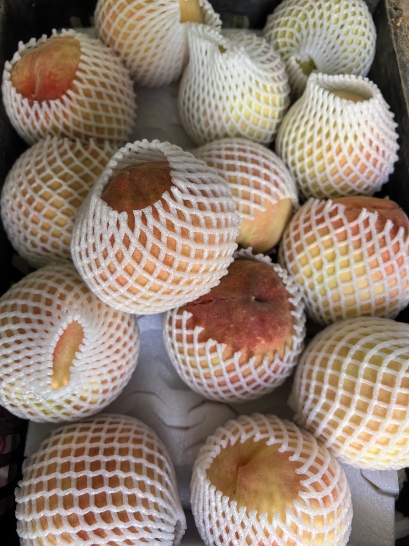 阳山水蜜桃