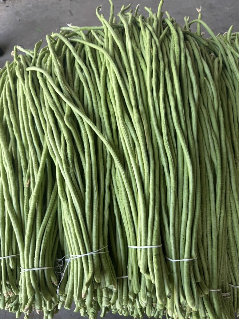 兰陵精品豆角颜色青绿，不发白无虫眼量大价格便宜
