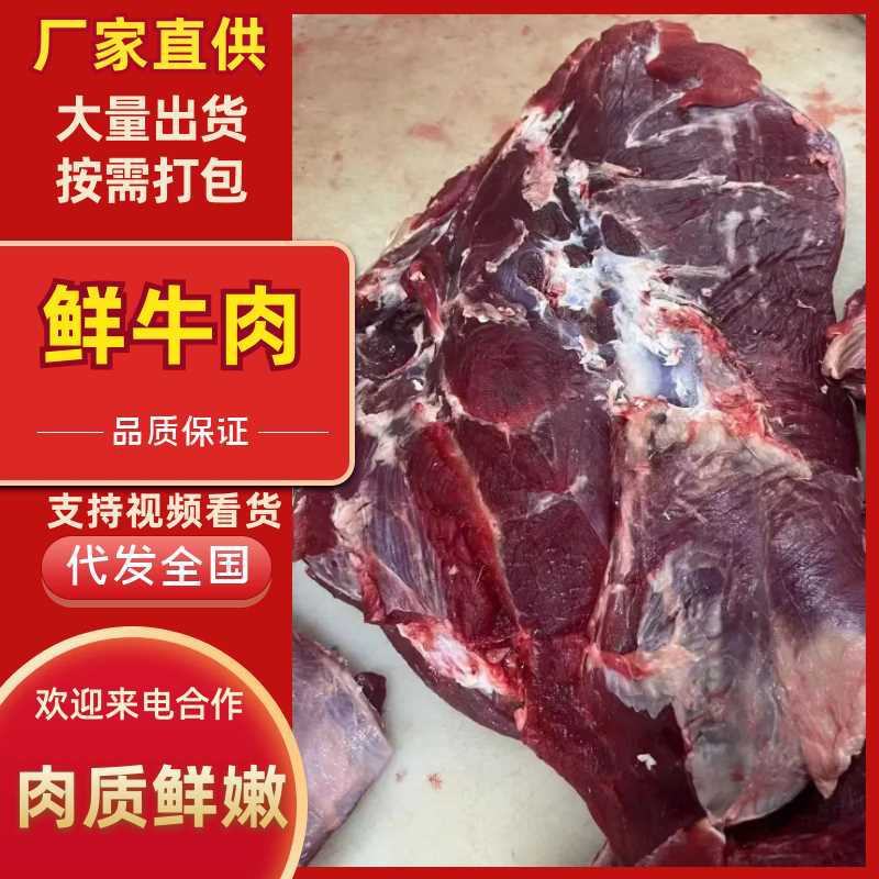 精修鲜牛肉16分体，有需要的老板欢迎下单[握手][握手]