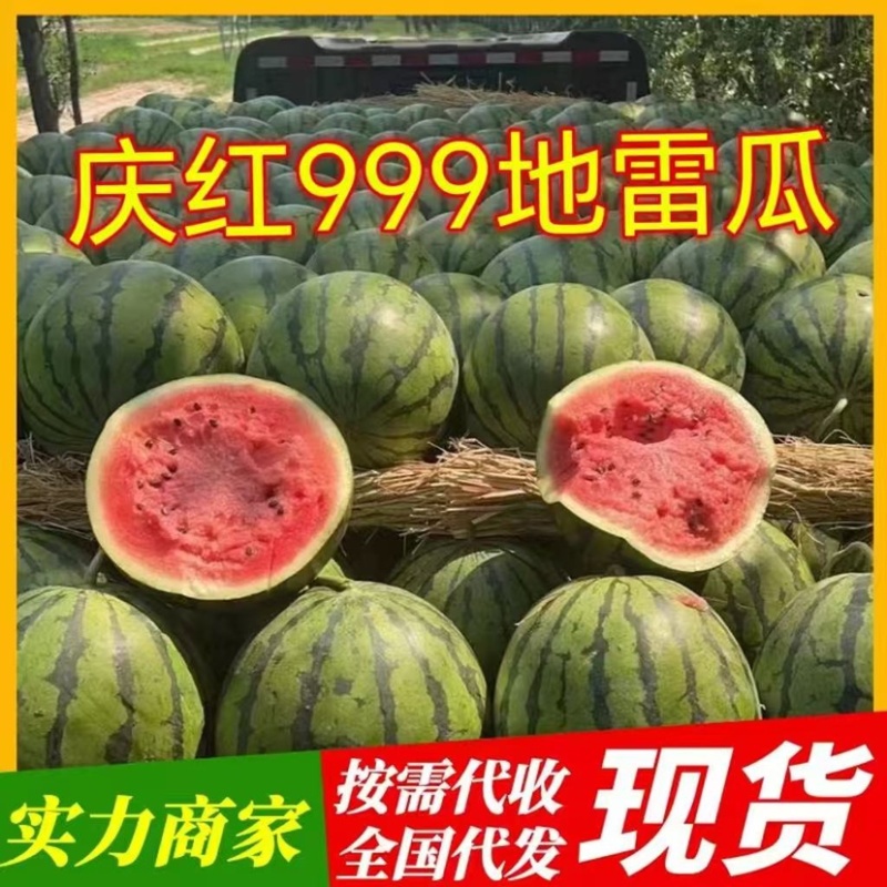 吉林大地雷严重滞销，价格便宜，需要的来吧质量三包，代办