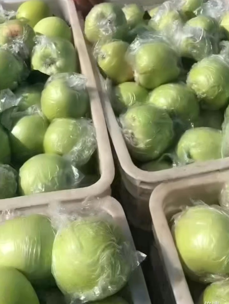 鲁丽新苹果产地直销，一手货源，量大从优，全国发货
