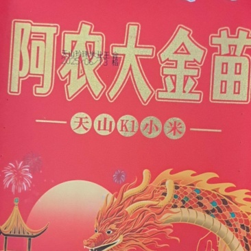 阿农大金苗黄小米。
