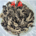 升麻中药材原料批发无硫正品升麻粉中药材原料批发