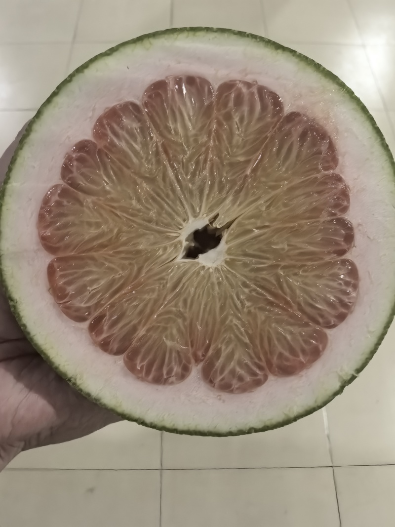 青柚