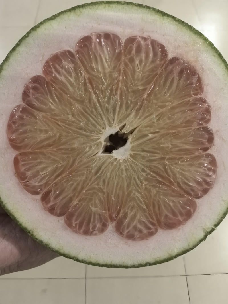 青柚