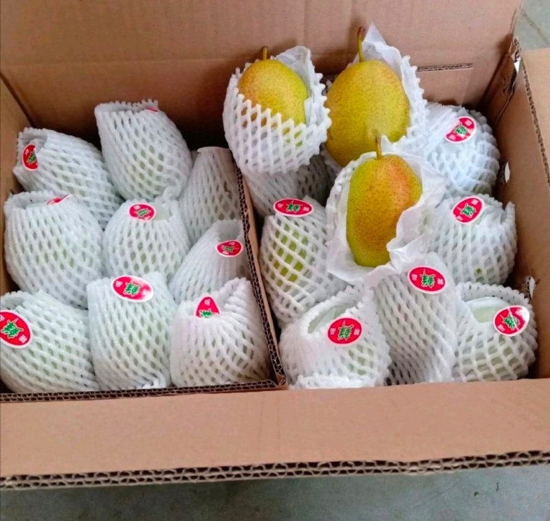 【红香酥梨】河北梨。赵县梨货源充足货发全国