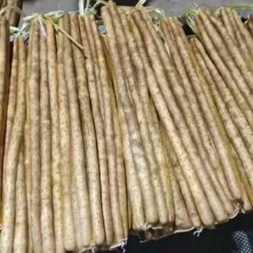 小白嘴山药产地直销，大量现货，量大从优，品质有保障