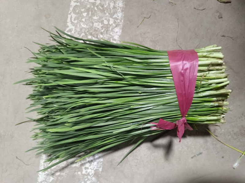 大量供应头刀，各种规格平茬，精品加工货，食品厂货源