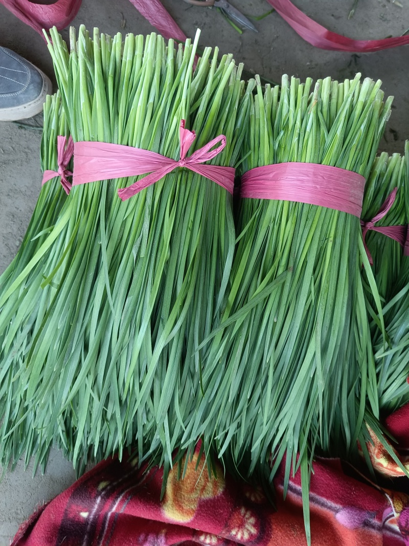 大量供应头刀，各种规格平茬，精品加工货，食品厂货源
