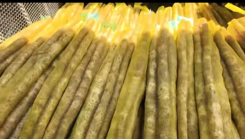 小白嘴山药产地直销，大量现货，量大从优，品质有保障